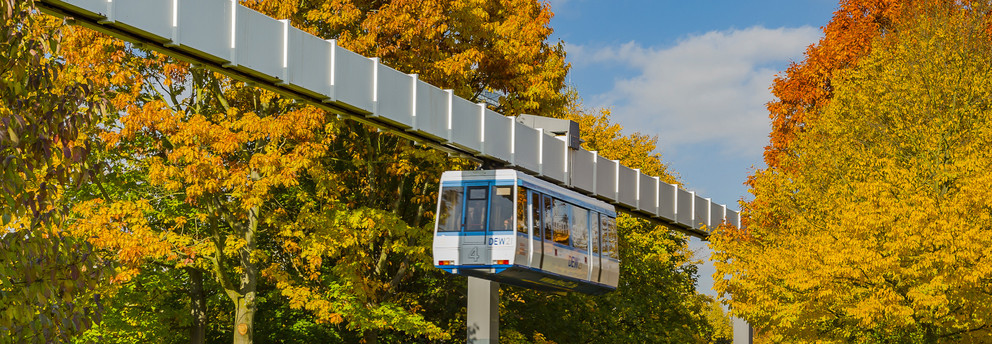 H-Bahn und Bäume mit bunten Blättern im Herbst